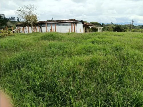 Venta Finca Filandia A Borde De Carretera - 20 Cuadras