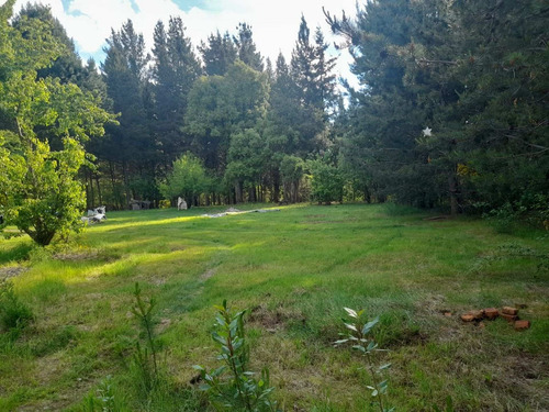 Imagen 4 de 21 de Excelente Loteo, Lago Puelo Lote N° 5..
