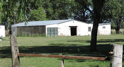 Imagen 14 de 26 de 100 Has En Punta Indio - Excelente Acceso - Ideal Haras!