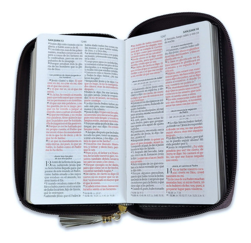 Biblia Rvr60 Chequera Crema Y Café Agarradera Y Cierre 8 Pts