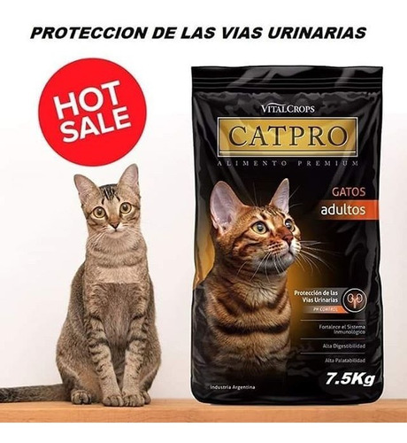 Cat Pro - Alimento Para Gatos