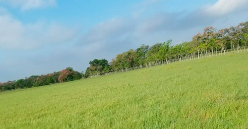Finca De Ganado En Venta En San Francisco De Macorís