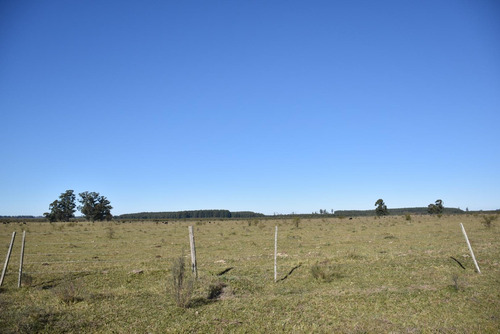 Imagen 18 de 22 de Campo Mixto En Venta Estación Yeruá