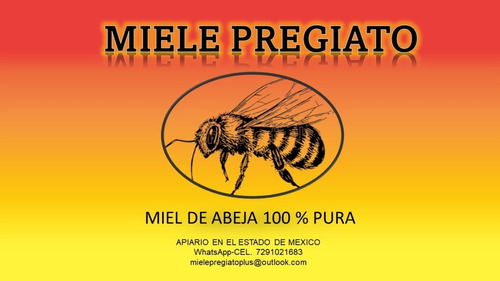 Miel De Abeja Pura