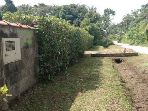Imagem 13 de 13 de Chácara Próxima Ao Rio, Com Árvores Frutíferas, Acabamento Em Moldura De Gesso, Em Itanhaém, No Bairro Jardim Aguapeu Ref: 7130/ac
