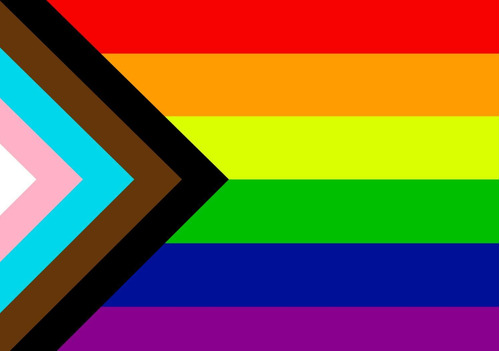 Bandeira Comunidade Lgbtqi Orgulho Arco Íris - 0,70x1,00m