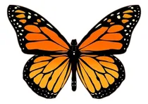 Comprar Mariposas Para Souvenirs. Colores Surtidas 3 Cm Surtidas