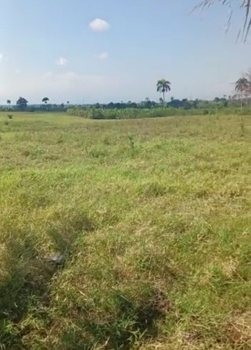 Vendo Finca 350 Tareas Moca Espaillat
