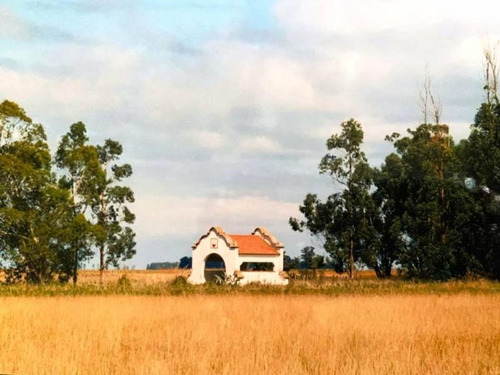 Imagen 10 de 13 de Campo Agricola 480 Hectareas Casco De Epoca