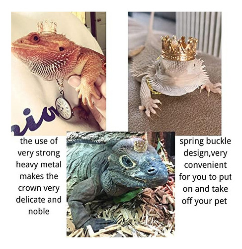 Kunbiuh Juego De 2 Collares Con Corona De Lagarto, Traje De