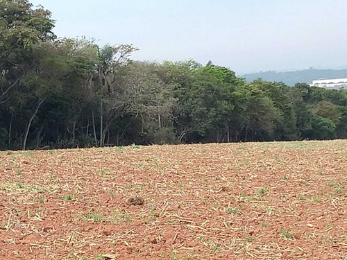 Imagem 7 de 12 de O05- Terreno 450m² Por Apenas R$15.000,00 Entrada