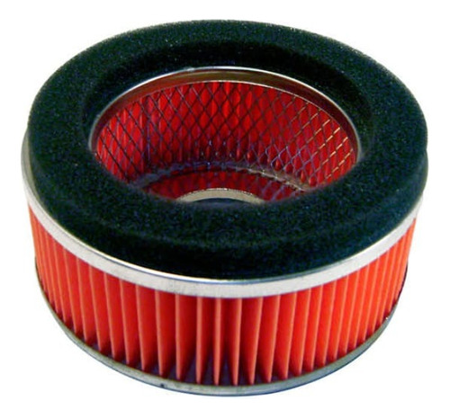 Filtro De Aire Para Motoneta Ds150/gt175 Italika