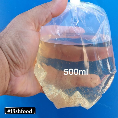 Imagem 1 de 5 de Daphnia Magna Alimento Vivo - Porção - Estado De São Paulo