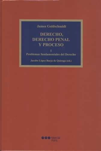 Libro Derecho, Derecho Penal Y Proceso I. Problemas Fundame