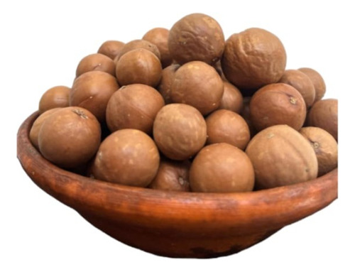 Nuez De Macadamia Con Cascara 5 Kg