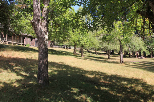 Campo De 326 Hectáreas En Llanada Grande, Cochamó.