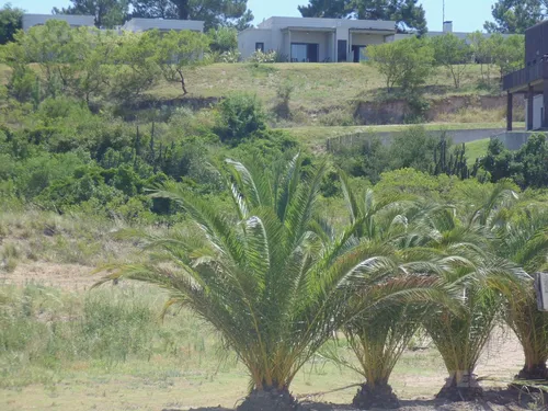 Terren, Barrio Privado, Seguridad, Puerto, Helipuerto, Playa