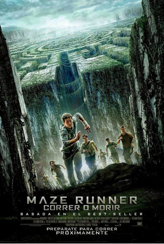 Imagen 1 de 2 de Poster Original Cine Maze Runner