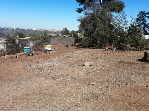 Sitio En Venta Sector Los Pinos, Semi Plano, Pasaje, Reñaca