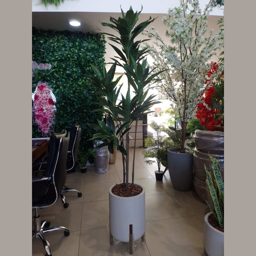 Arvore Dracena Cordyline Grande Verde Artificial Mambo