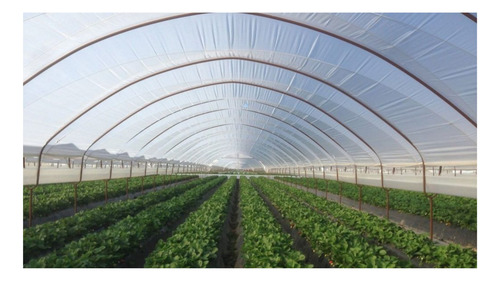 Polietileno Nylon Transparente 4m X 10m Standard Xp Rollo