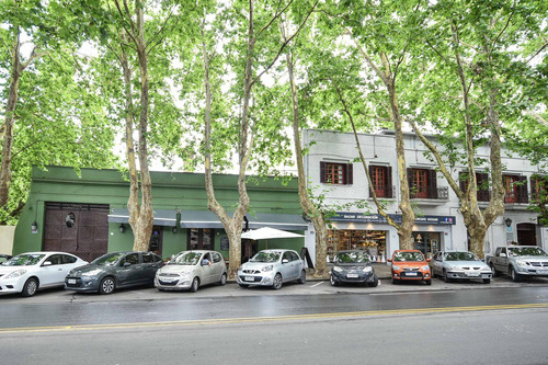 Imagen 5 de 11 de Excelente Local En Colonia Del Sacramento. Avenida Principal