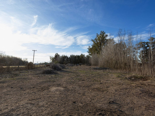 Imagen 10 de 16 de Lote | Ruta Nac. N° 8 112