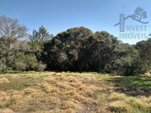 Imagem 13 de 15 de Cod 5906 - Chácara Com Riacho, Medindo 4.700 M² - 5906