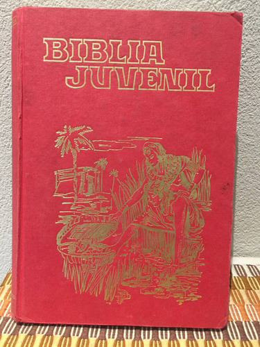 Biblia Juvenil Editorial Ortells