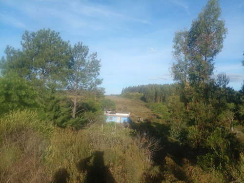 Casa De 3 Dormitorios Con Terreno De Mas De 1 Y 1/2 Hectárea