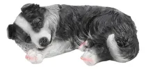 Comprar Estatuas De Cachorros Esculturas, Border Collie Figura De