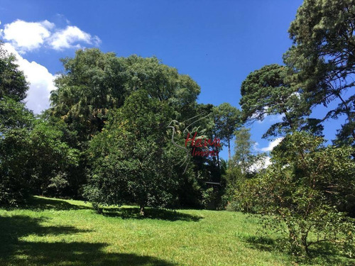 Imagem 11 de 20 de Chácara Com 4 Dormitórios À Venda, 7650 M² Por R$ 3.999.999,99 - Vila Santo Antônio - Cotia/sp - Ch0017