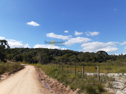 Imagem 4 de 30 de Fazenda A Venda No Bairro Colônia Murici Em São José Dos - 5836-1