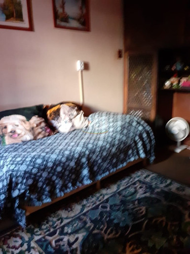 Casa Em Cidade Baixa Com 4 Dormitórios - Pj5578