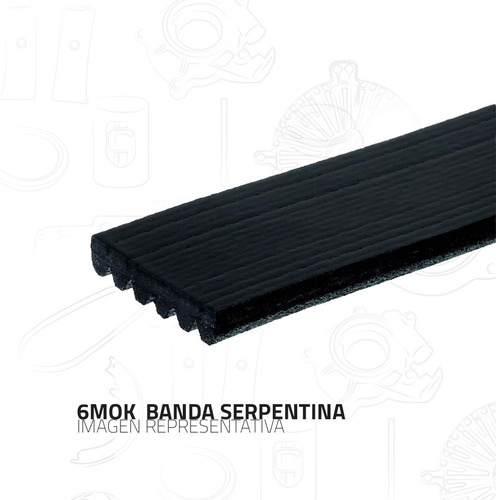 Banda Serpentin Polyv Ford Mustang 3.8l 1983-1986