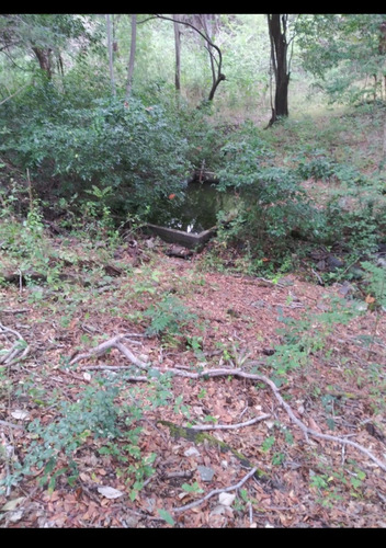 Imagen 26 de 30 de Se Vende Finca De 154 Manzanas