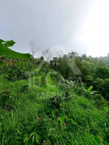 Finca Santa Cruz De Mora