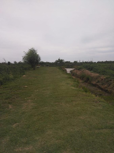 Imagen 4 de 21 de Excelente Quinta Sobre El Río Coronda
