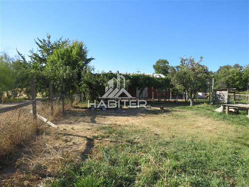 Imagen 16 de 24 de Agrícola En Venta En Maule