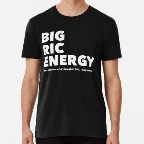 Remera Diseño Big Ric Energy Daniel Ricciardo Algodon Premiu