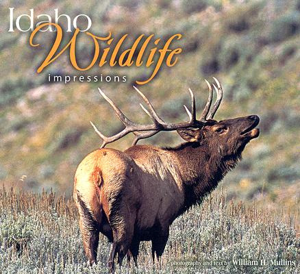 Libro Idaho Wildlife Impressions - Mullins, William H.