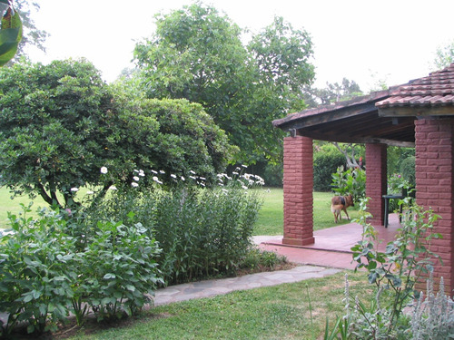 Casa Quinta Para Vivir, 2600 Metros De Terreno Dos Casas.