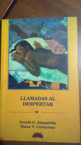 Llamadas Al Despertar, Gerald Jampolsky, Libro Físico 