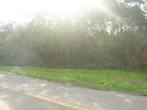 Imagem 4 de 4 de Terreno - Belem Velho - Ref: 38875 - V-38875
