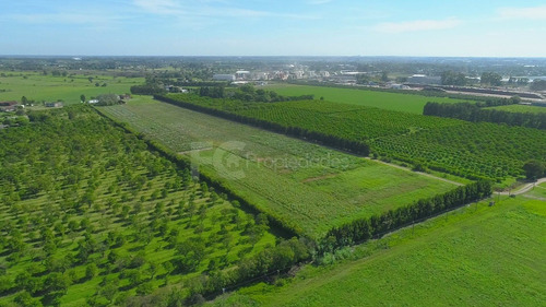 Imagen 9 de 21 de Venta Campo 11 Has Rincon Del Cerro Montevideo