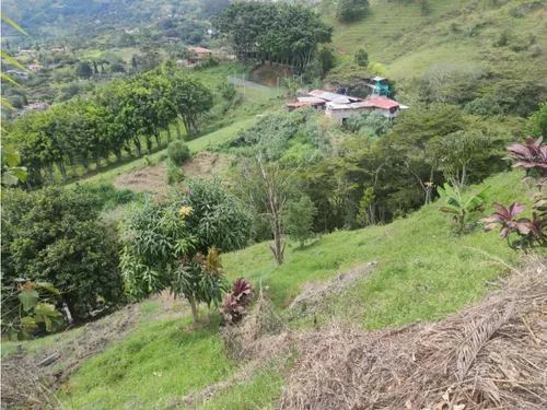 Lote En Girardota Vereda El Limonar