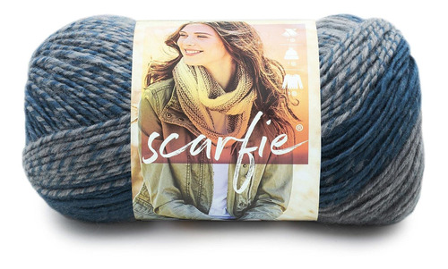 Lion Brand Yarn Scarfie Bulky Ovillo Hilo Voluminoso