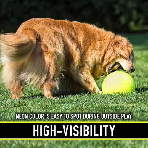 Franklin Pet Supply Ready Set Fetch - Pelota De Tenis Para P