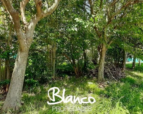 Imagen 3 de 3 de Oportunidad! Hermoso Lote De 250 Metros Dentro Del Barrio De Vicenzo Grande - Pilar