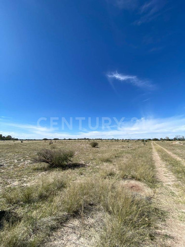 Lote En Venta En Predio El Águila, El Llano, Aguascalientes